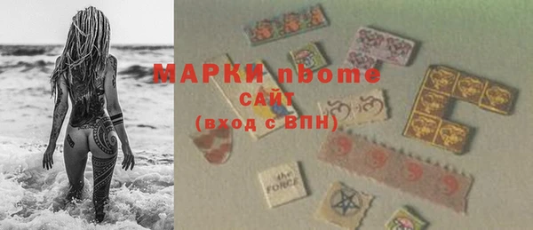 индика Аркадак