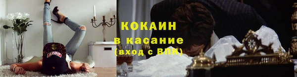 индика Аркадак