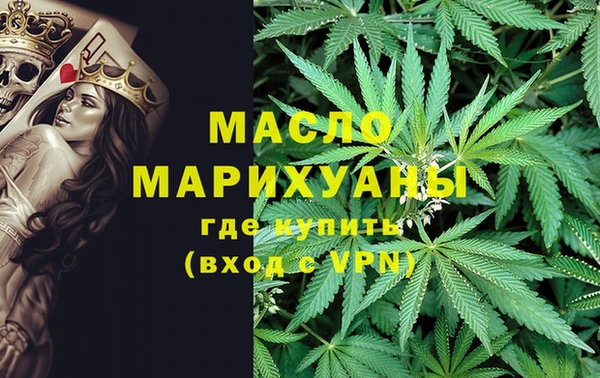 индика Аркадак
