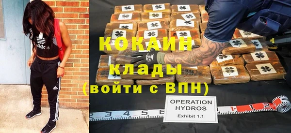 индика Аркадак