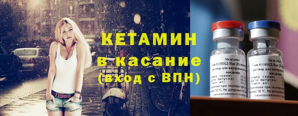 индика Аркадак